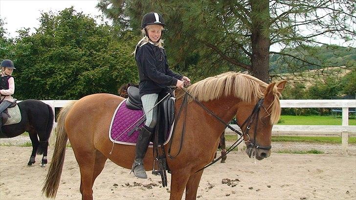 Hollandsk Sportspony Charon R.I.P :`( savnet - or så la gå så går jeg pænt billede 13