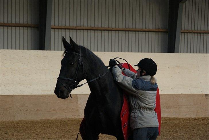 Anden særlig race Celia billede 11
