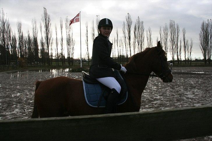 Anden særlig race Diablo (gammel part) - Er det snart os??? billede 6