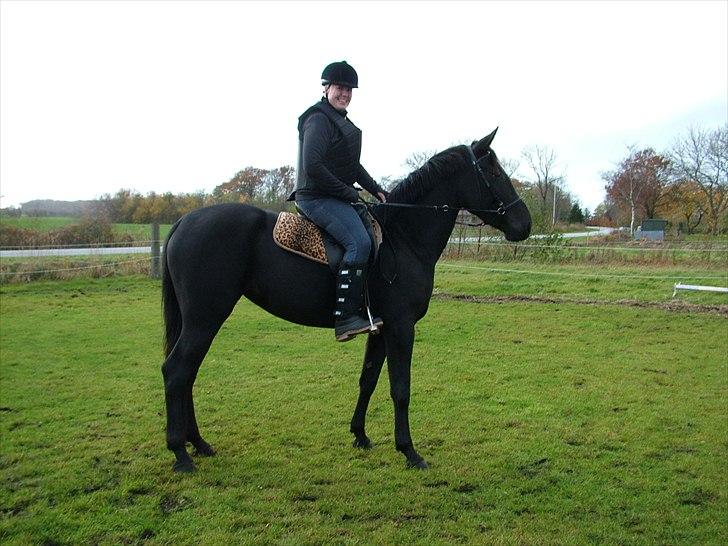 Anden særlig race Uzuri - Første gang på nakken af hende ;p
 billede 14
