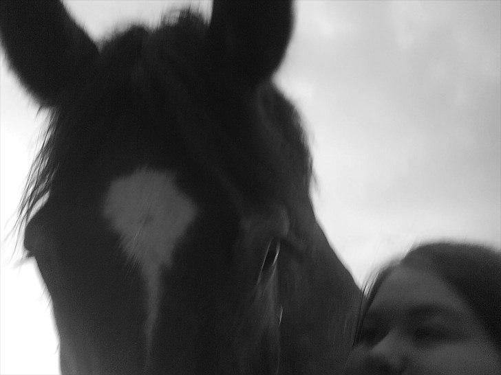 Belgier - Møffe (Basse) - i´ll never forget the times we shared, just you&me <3 billede 3