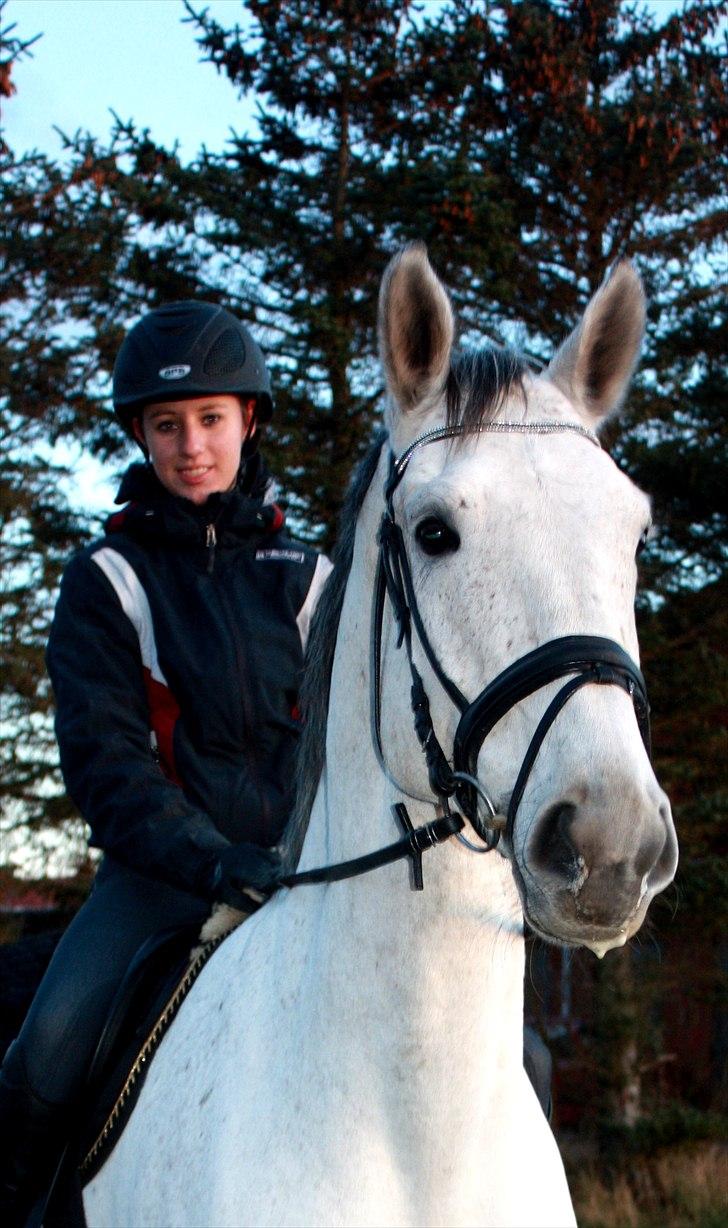 Holstener Capacity Cashmore billede 6