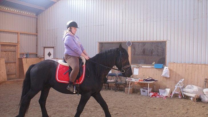 Frieser Zeppelin Terplinggaard <3 billede 3