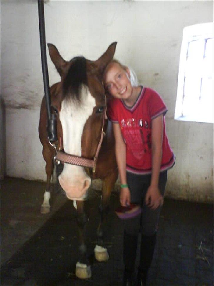 Welsh Pony (sec B) Mille - Jeg elsker dig Mille! billede 5