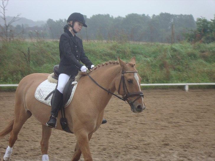 Anden særlig race <3 Rabondi <3 *SOLGT* - Min eneste ene<3 billede 1