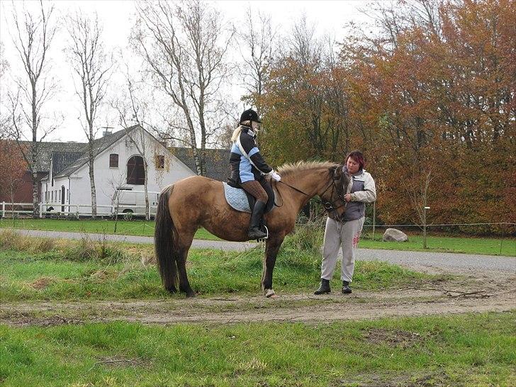 Anden særlig race Bailey <3 -  Henne ved tidl.ejer ! Jeg syndes hun har forandret sig ! Hvad syndes i ?(altså hun er bleven kønnere) |Foto:Far| billede 2