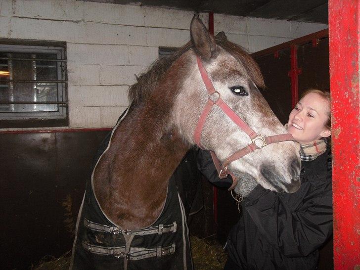 Anden særlig race Sahvanna   billede 12