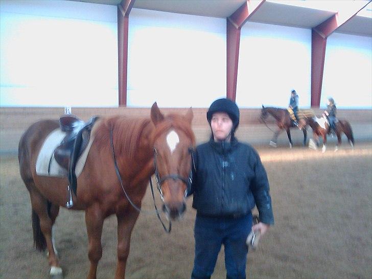 Anden særlig race Mr. Lonely billede 4