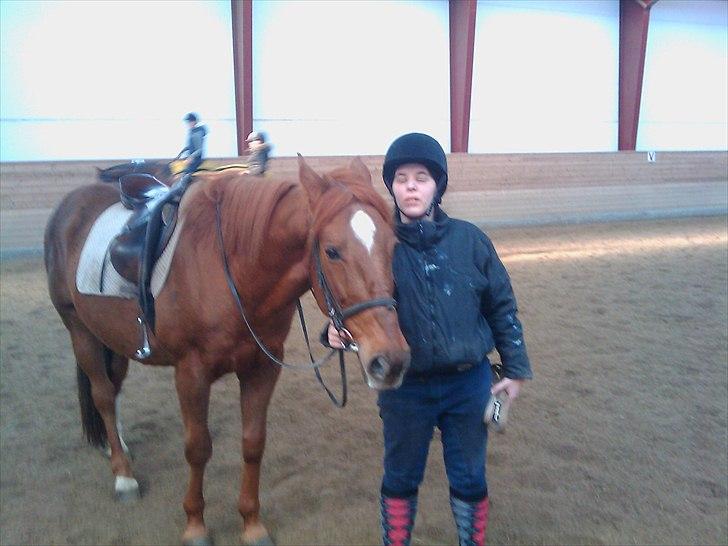 Anden særlig race Mr. Lonely billede 5