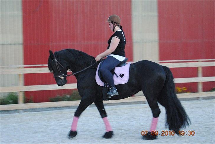 Frieser Jan billede 1