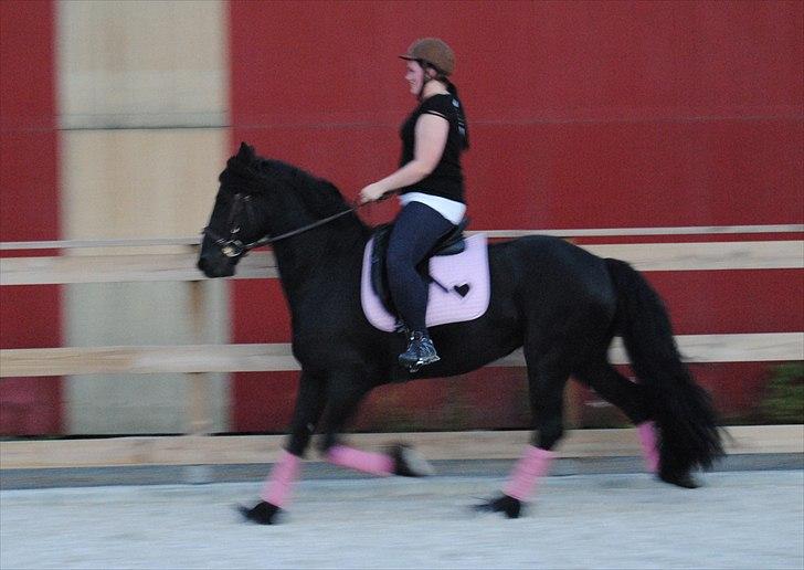 Frieser Jan billede 2