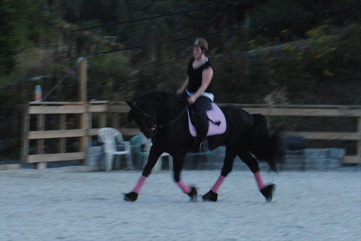 Frieser Jan billede 3