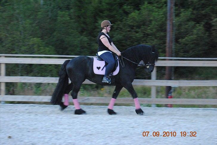 Frieser Jan billede 4