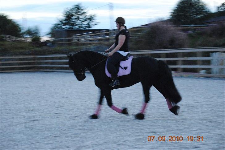 Frieser Jan billede 5