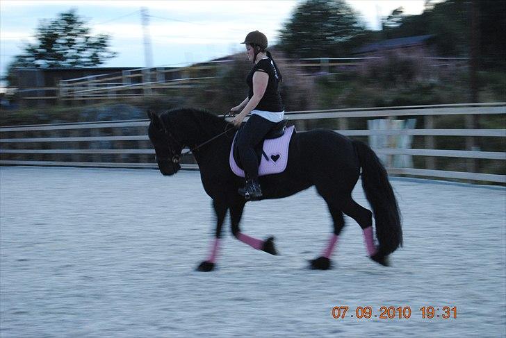 Frieser Jan billede 6