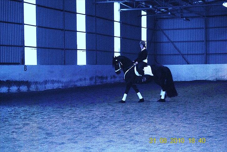 Frieser Jan billede 7