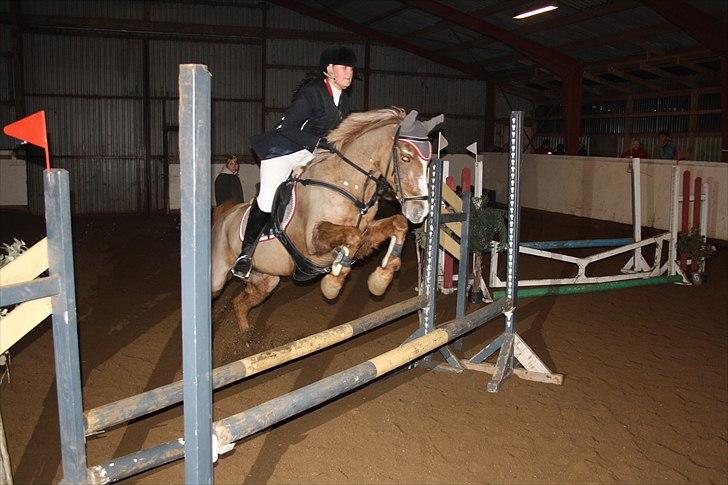 Anden særlig race Vestergårds La Chanta   - Første stævne hvor vi blev klubmestre billede 13