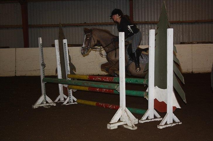 Anden særlig race Vestergårds La Chanta   - Spring træning:D billede 14