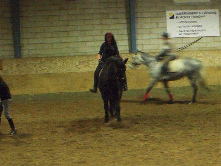 Anden særlig race Zephyr (Solgt) billede 14