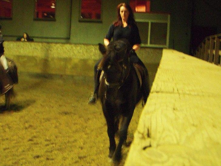 Anden særlig race Zephyr (Solgt) billede 16