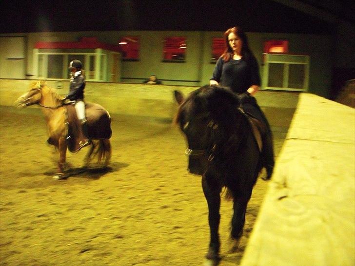 Anden særlig race Zephyr (Solgt) billede 17