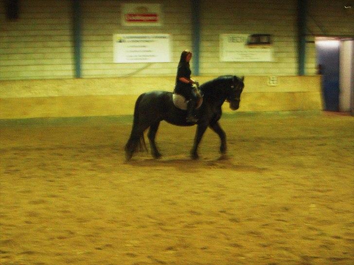 Anden særlig race Zephyr (Solgt) billede 18