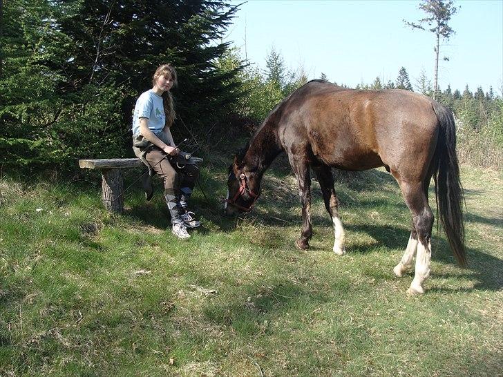 Pinto Vognbjergs Picasso -  For at få en ven, vær en ven. billede 12
