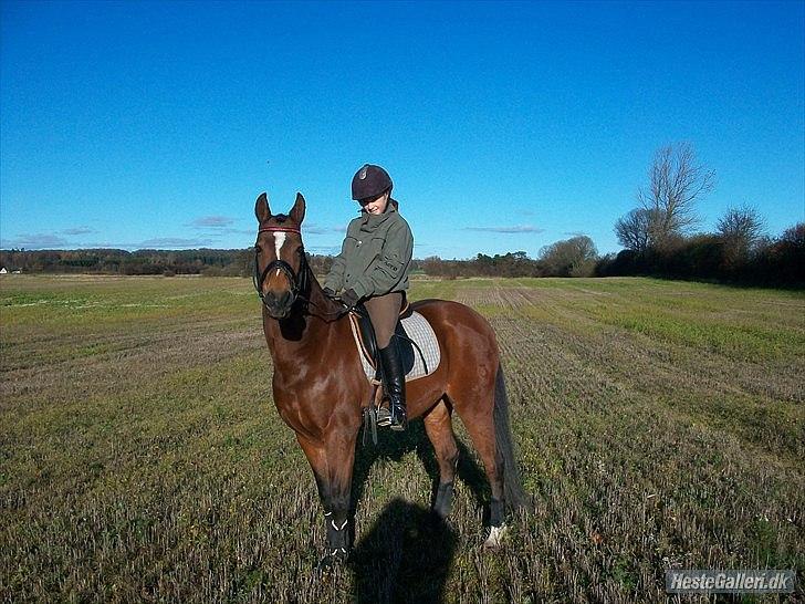 DSP Røgilds kilimanjaro SOLGT - Killer og hans nye ejer Louise :D billede 10
