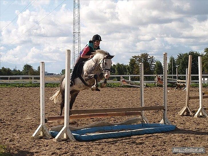 Anden særlig race Blue Bell :D<3 - BlueBell&Natascha!(: billede 3