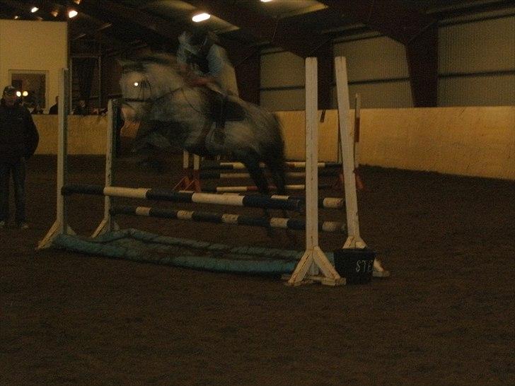 Anden særlig race Blue Bell :D<3 - Mig og Blomme til springtræning!<3 billede 4