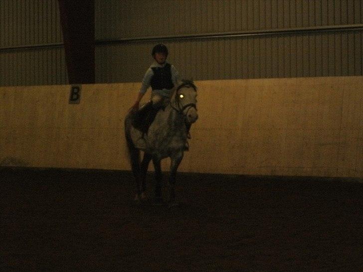 Anden særlig race Blue Bell :D<3 - Jegelskerdig! billede 5