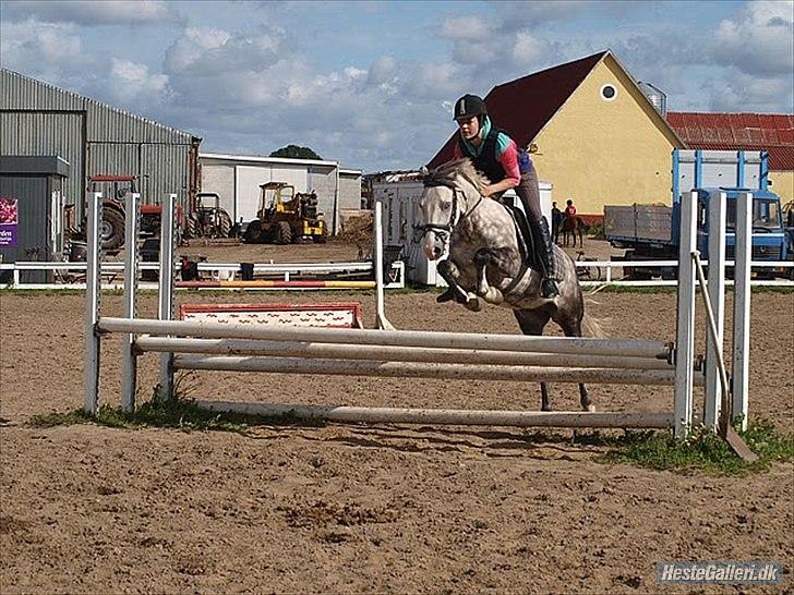 Anden særlig race Blue Bell :D<3 - Natascha og Blomme!:P billede 6