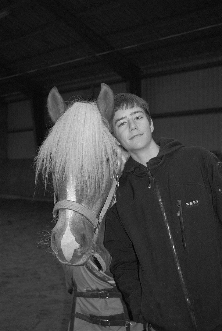 Haflinger Blue Star (BS) - 091110 <3 Mine drenge! (kæresten&BS) billede 17