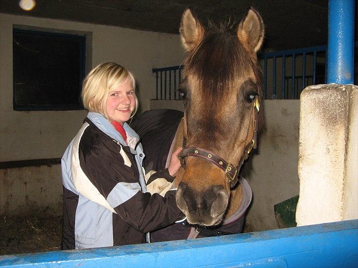 Anden særlig race Bailey <3 - Dit humør for mig til at Smile ! :I |Foto:Mor| billede 9