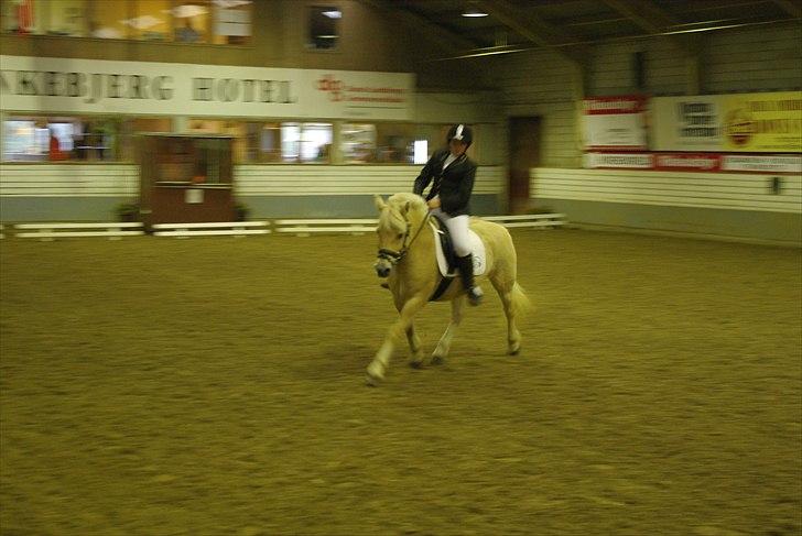 Fjordhest Skovvejens Rødtop (tidl part) - sidder lidt ad ;s men et billede fra vores første stævne på vrk som ik gik så godt ;s billede 14