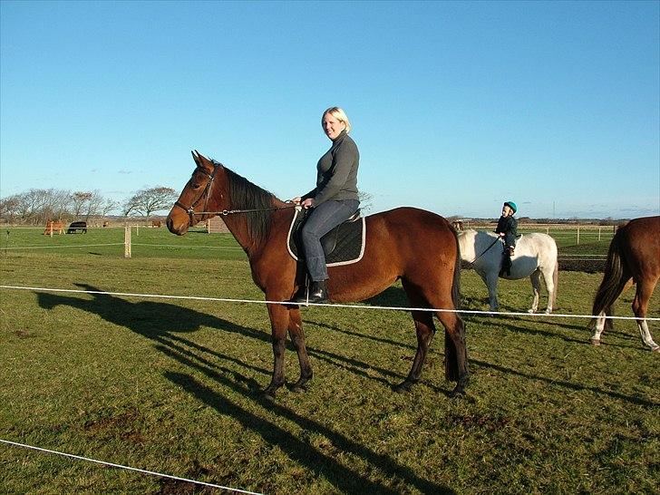 Anden særlig race Star billede 18