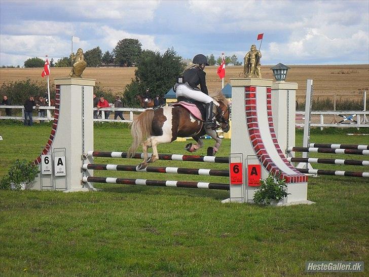 Anden særlig race Dolly (: Red!  - Mig og Dolly silkeborgrideklub :D billede 16