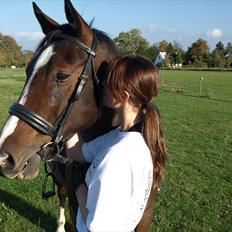 Anden særlig race Macho