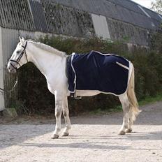 Lipizzaner Amadeus ("part")