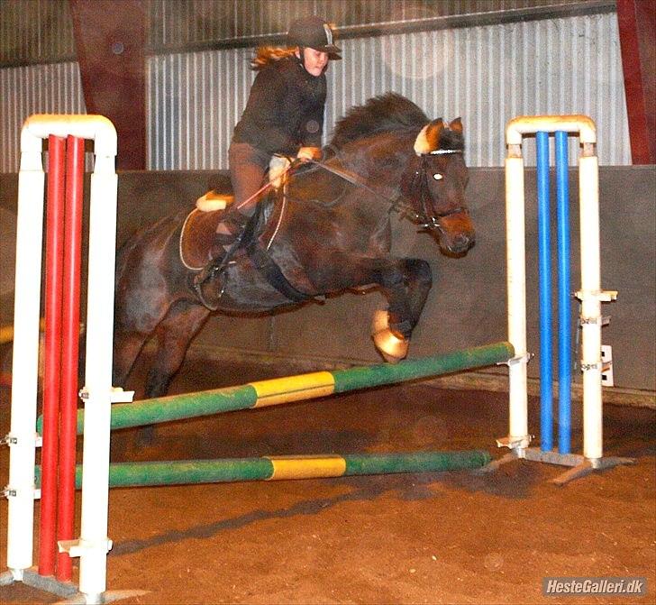 New Forest Mankehøjs Glamour<3 SOLGT:'-( billede 11