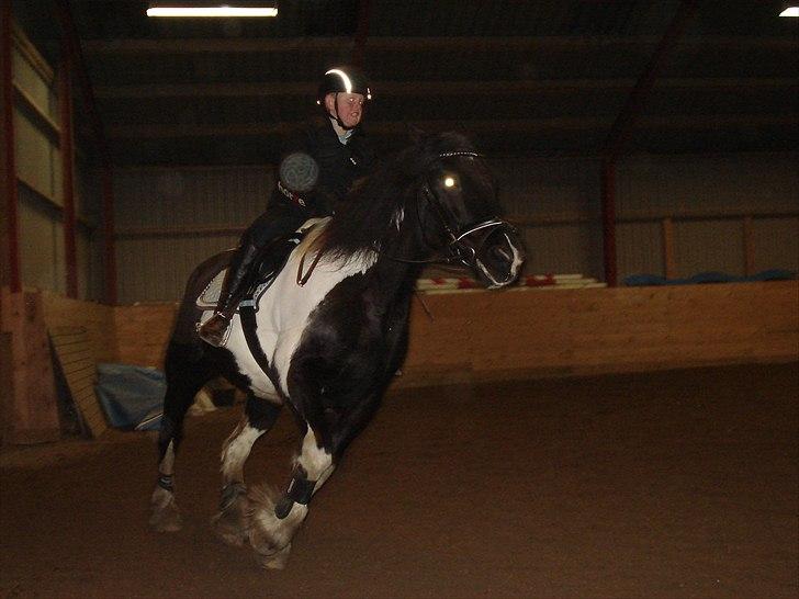 Tinker mollie - undskyld jeg ser totalt dum ud. billede 11