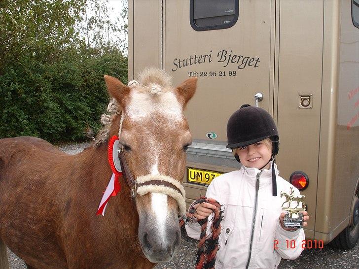 Anden særlig race BobbyHill - Bobby og jeg har endnu engang været til stævne i Nejst 2. Oktober 2010. Vi vandt LC1 med 66% billede 19