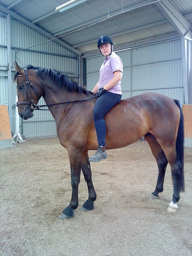 Anden særlig race Merlot R.I.P <3 - Merlot og mig uden sadle for føste gang :-) billedet 14 billede 13