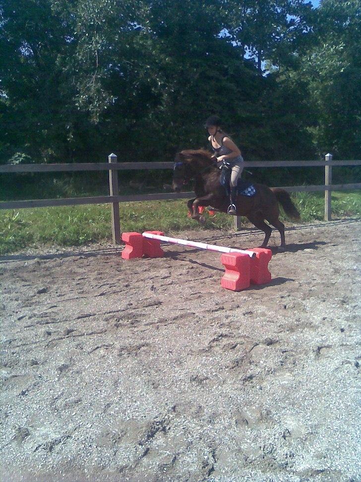 Anden særlig race Ferrari - Spring!<3 billede 15