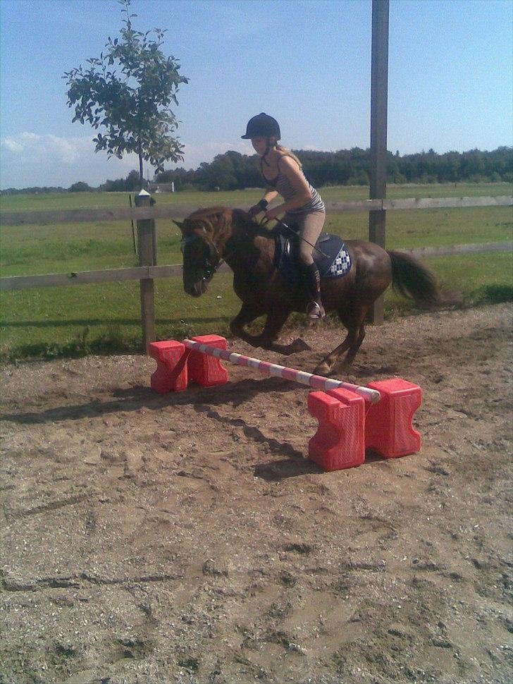 Anden særlig race Ferrari - hygge spring<3 billede 16