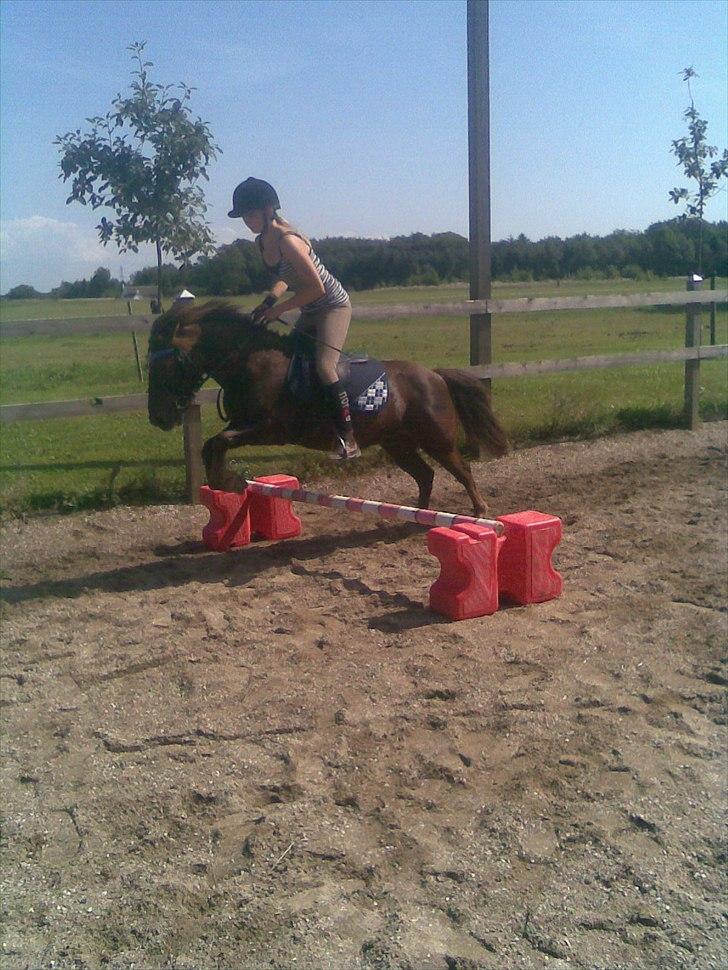 Anden særlig race Ferrari - et hyggeligt spring<3 billede 18