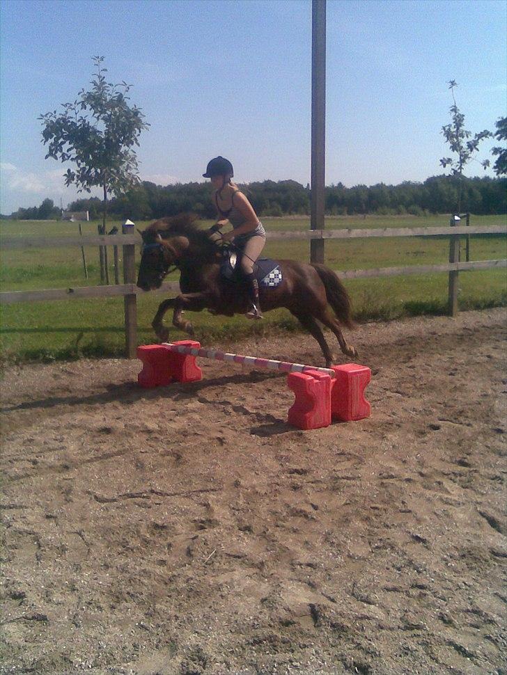 Anden særlig race Ferrari - Springer<3 billede 19