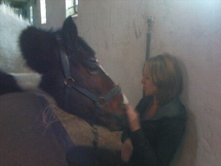 Anden særlig race Tippo *Ex-passer* - lille Tippo-pony<3
 savner dig minskat<3 billede 16