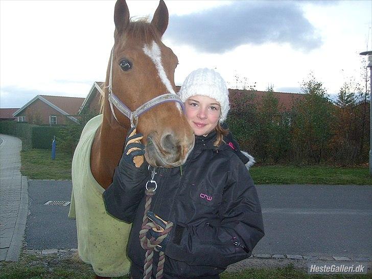 Anden særlig race Salsa billede 10