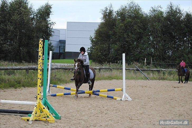 Anden særlig race Buster - wiii billede 18